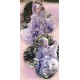 Bramble Rose Glazed Flower Stream OPs(Reservation/4 Colours/Full Payment Without Shipping)